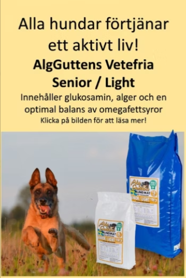AlgGuttens Foder Senior/Light