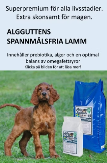 AlgGuttens Spannmålsfria Lamm