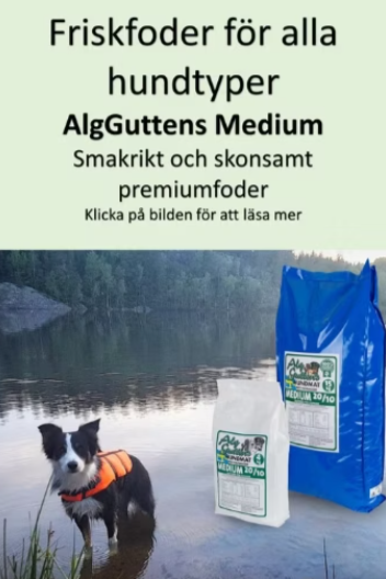 AkgGuttens Medium foder