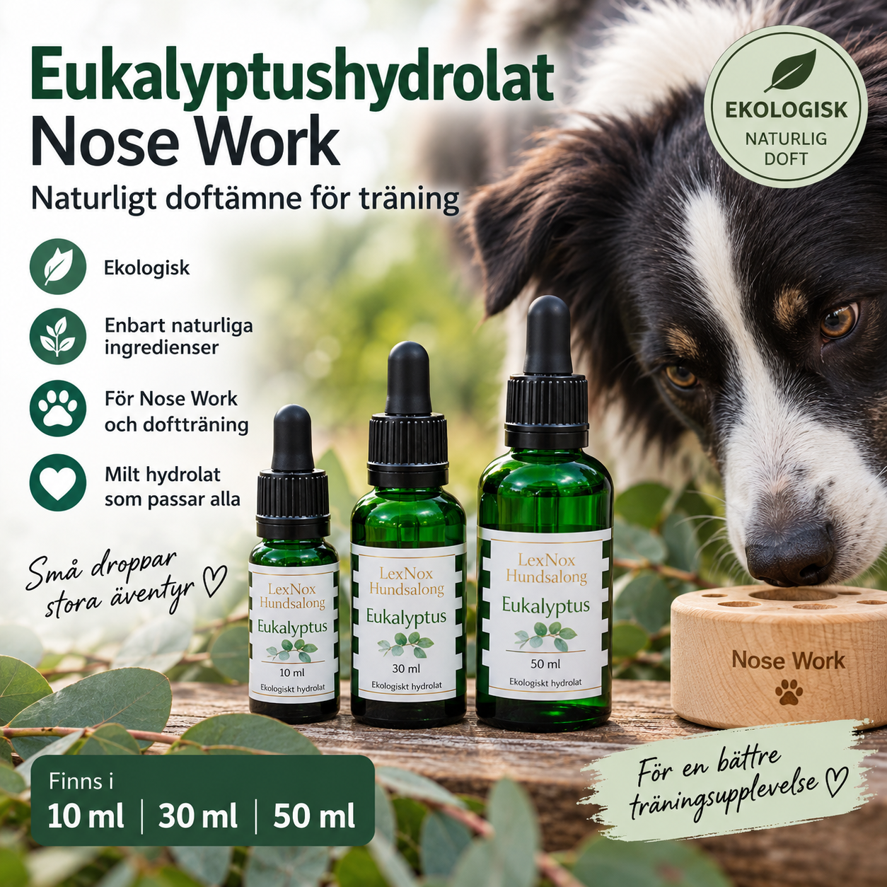 Ekologiskt Eukalyptushydrolat för Nose Work – naturligt doftämne för hund i grön glasflaska med glaspipett, 10 ml, 30 ml och 50 ml.