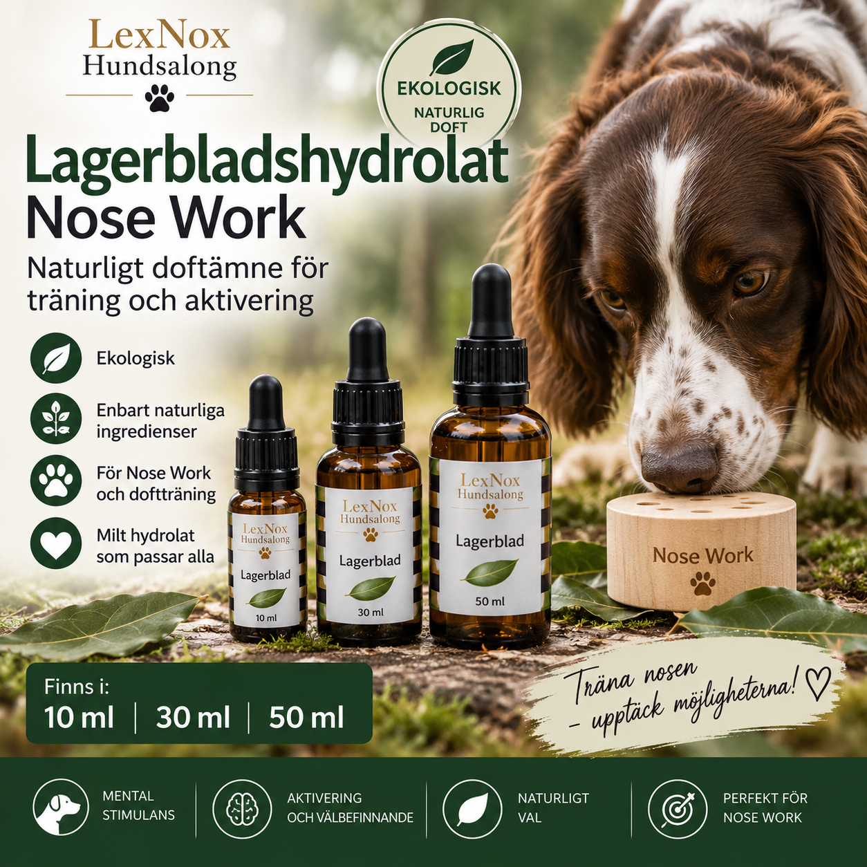 LexNox Lagerbladshydrolat för Nose Work – ekologiskt och naturligt doftämne för hund i brun glasflaska med glaspipett, 10 ml, 30 ml och 50 ml.
