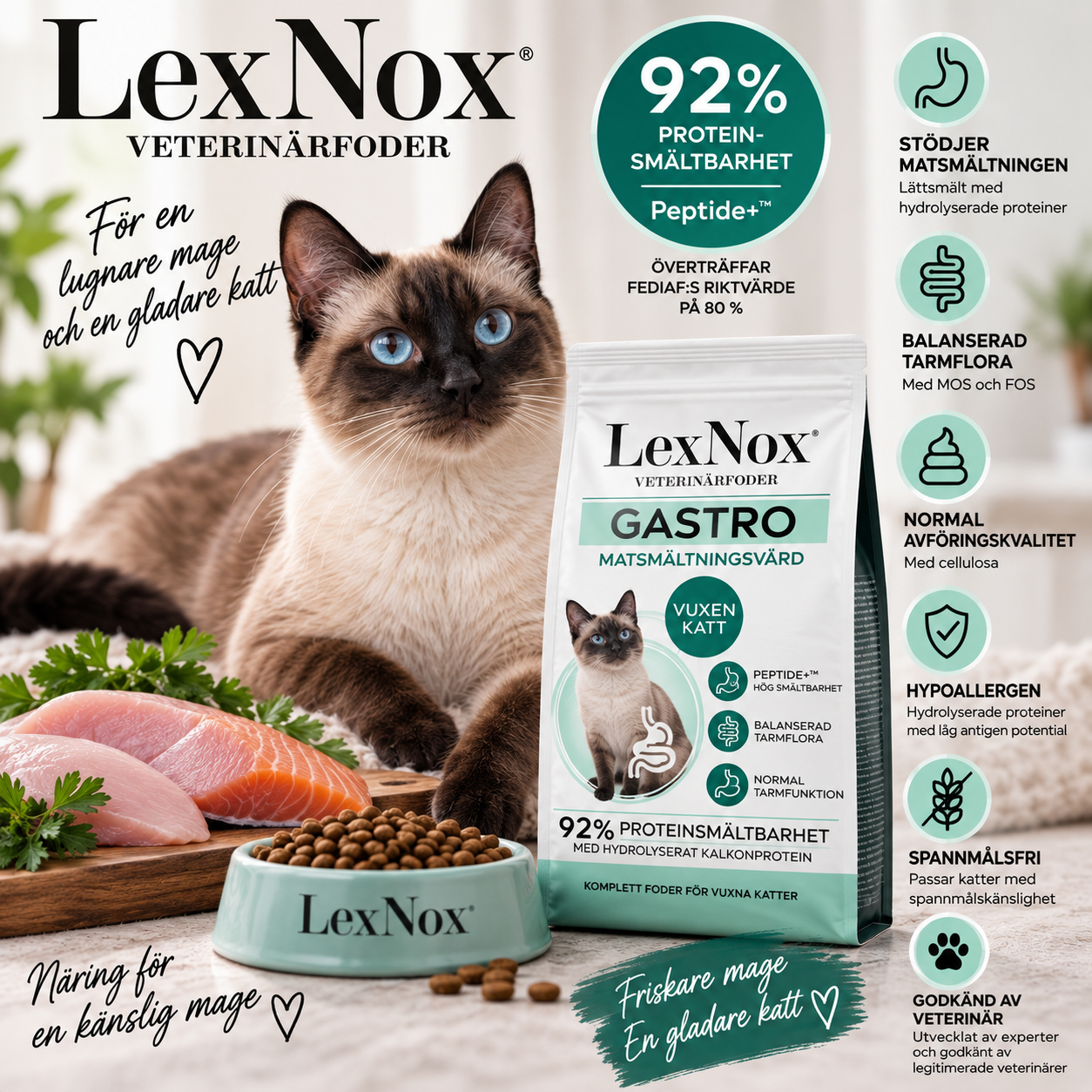 LexNox Gastro veterinärfoder för katt med Peptide+™, 92 % proteinsmältbarhet, hydrolyserad kalkon och lax samt FOS & MOS för känslig mage och tarm.