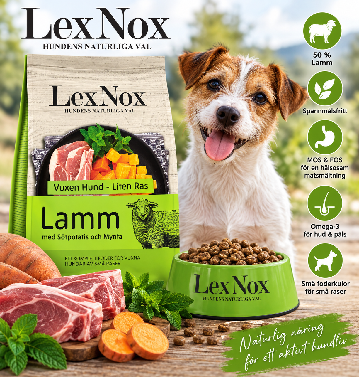 LexNox Spannmålsfri Lamm med Sötpotatis & Mynta – näringsrikt hundfoder för små raser med 50 % lamm, omega-3 samt MOS & FOS.